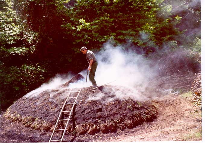  Image name: 43 Carbonai.jpg 
 width: 680 pixel 
 height: 474 pixel 
 Size: 66012 bytes 
 Click to enlarge 